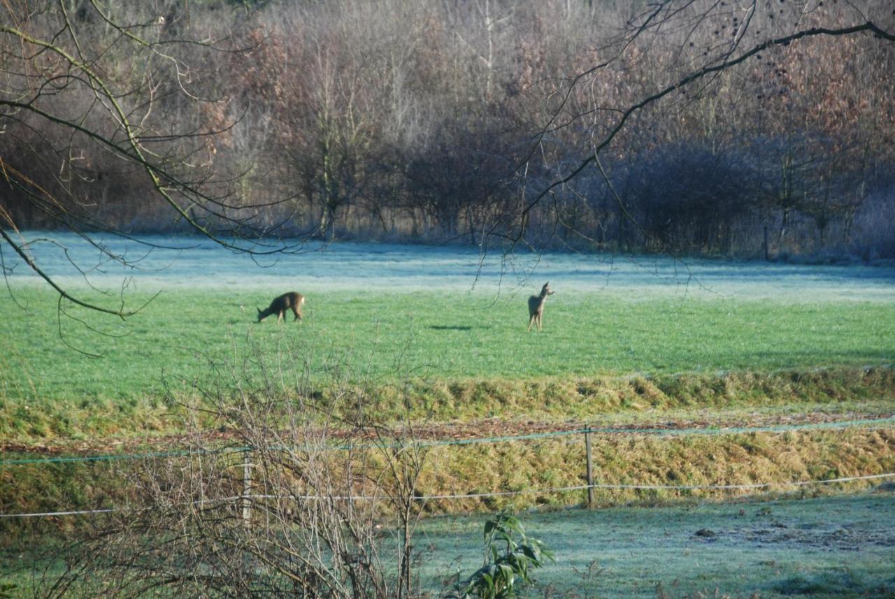 B&Btob Steengroeve Winterswijk Exteriör bild